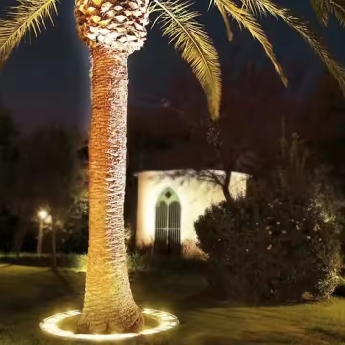 Circular Tree Ring Upwards LED Spotlight