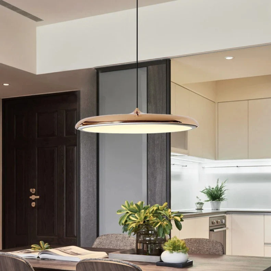 Saucer Ceiling Hanging Lamp with Metal Disc - Minimalist Nordic Decor