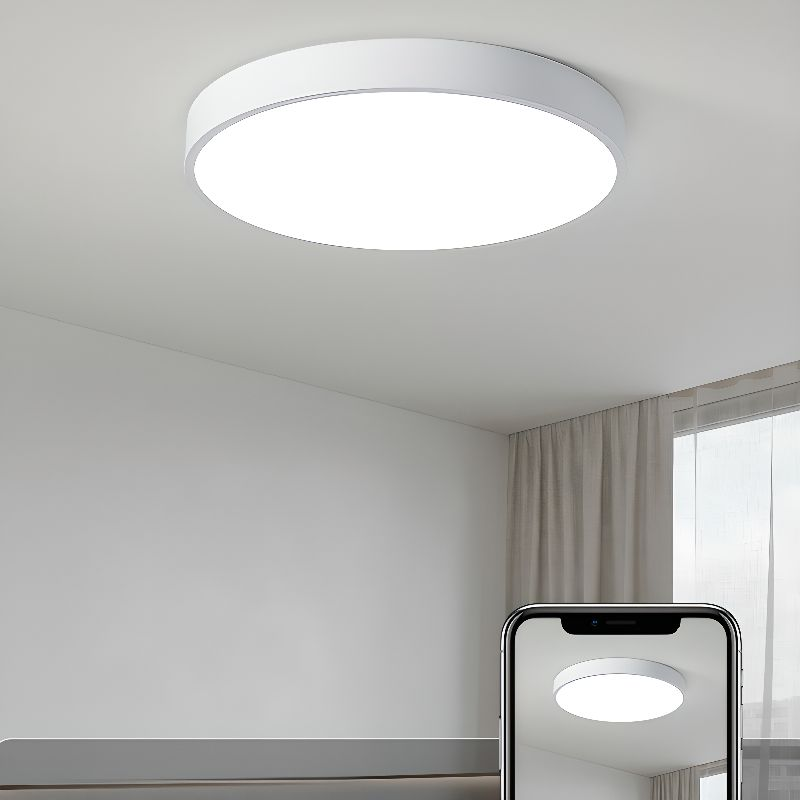 Disc Flush Mount