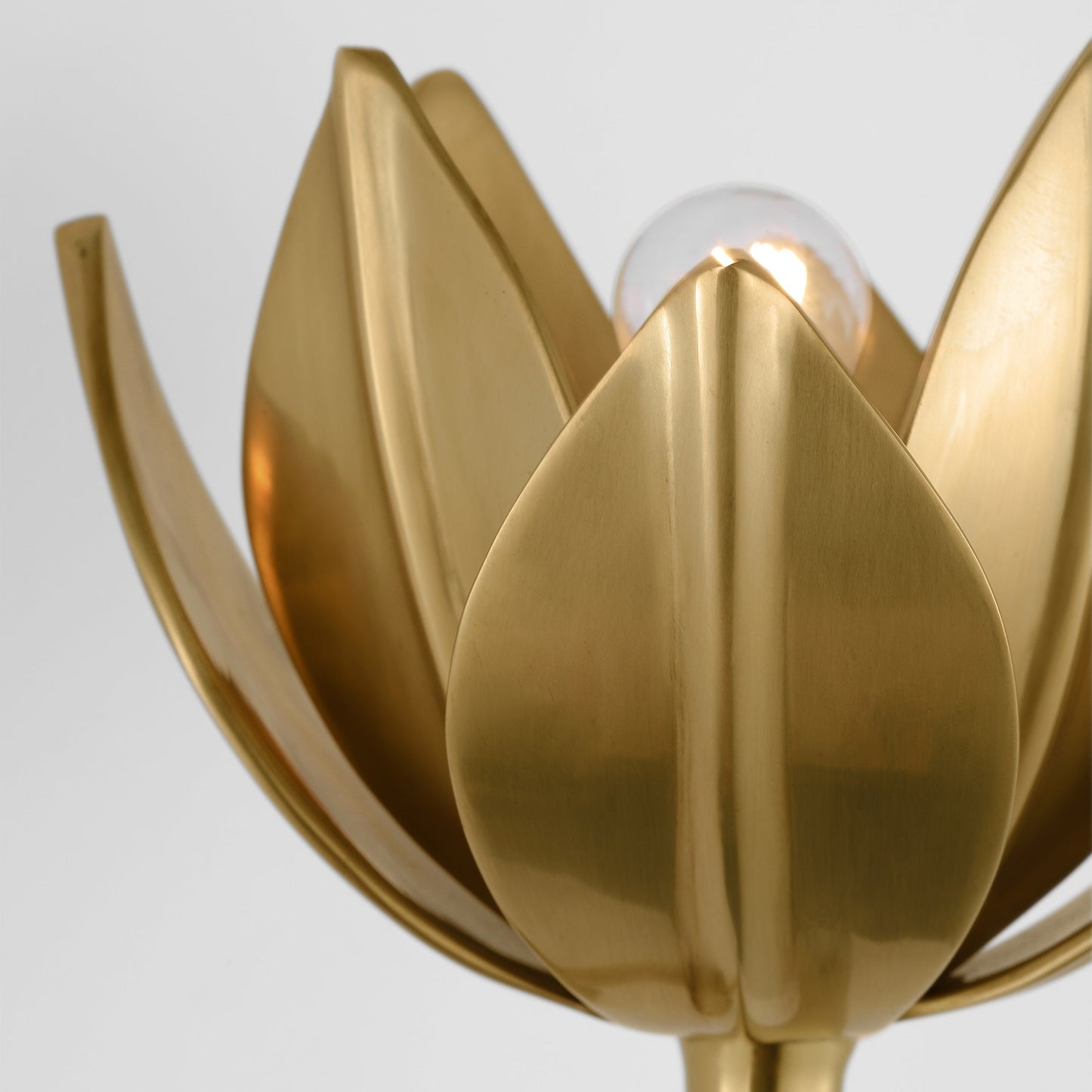 Lotus Wall Sconce