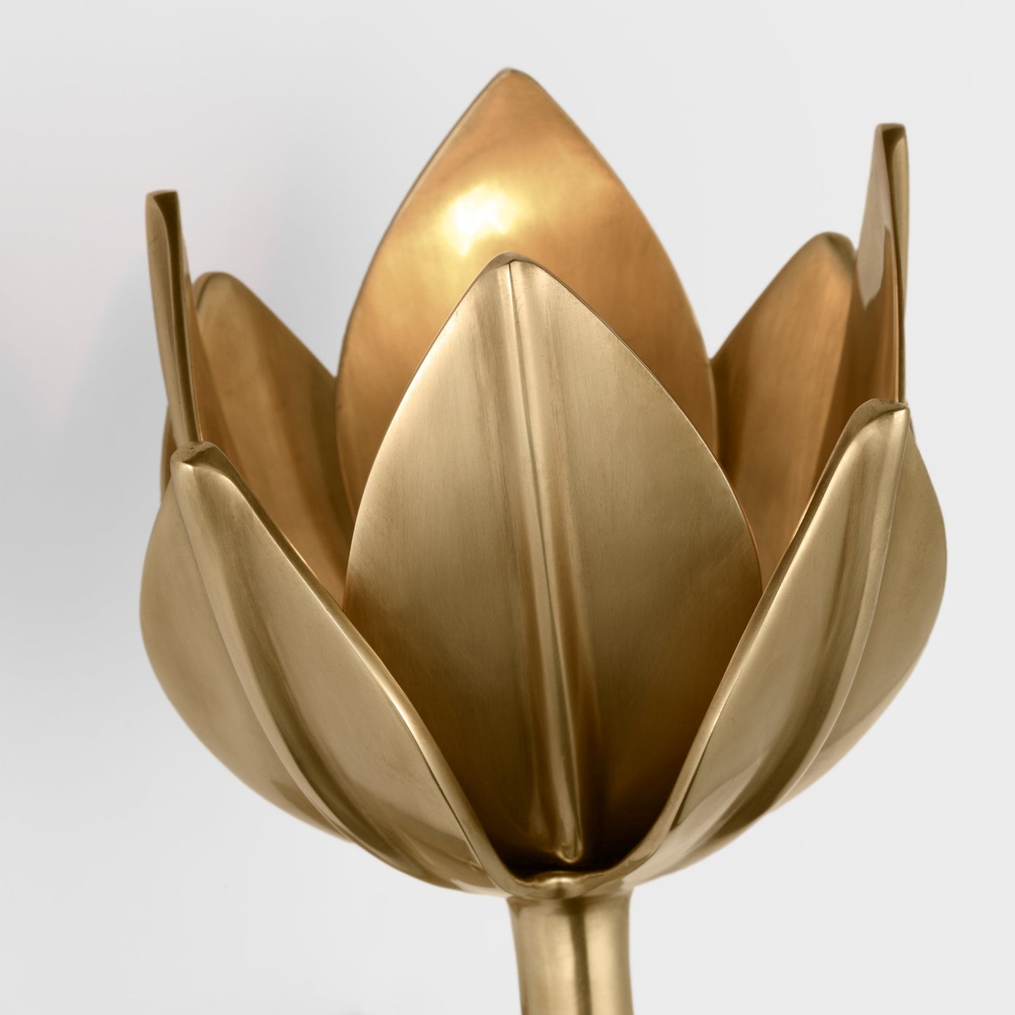 Lotus Wall Sconce