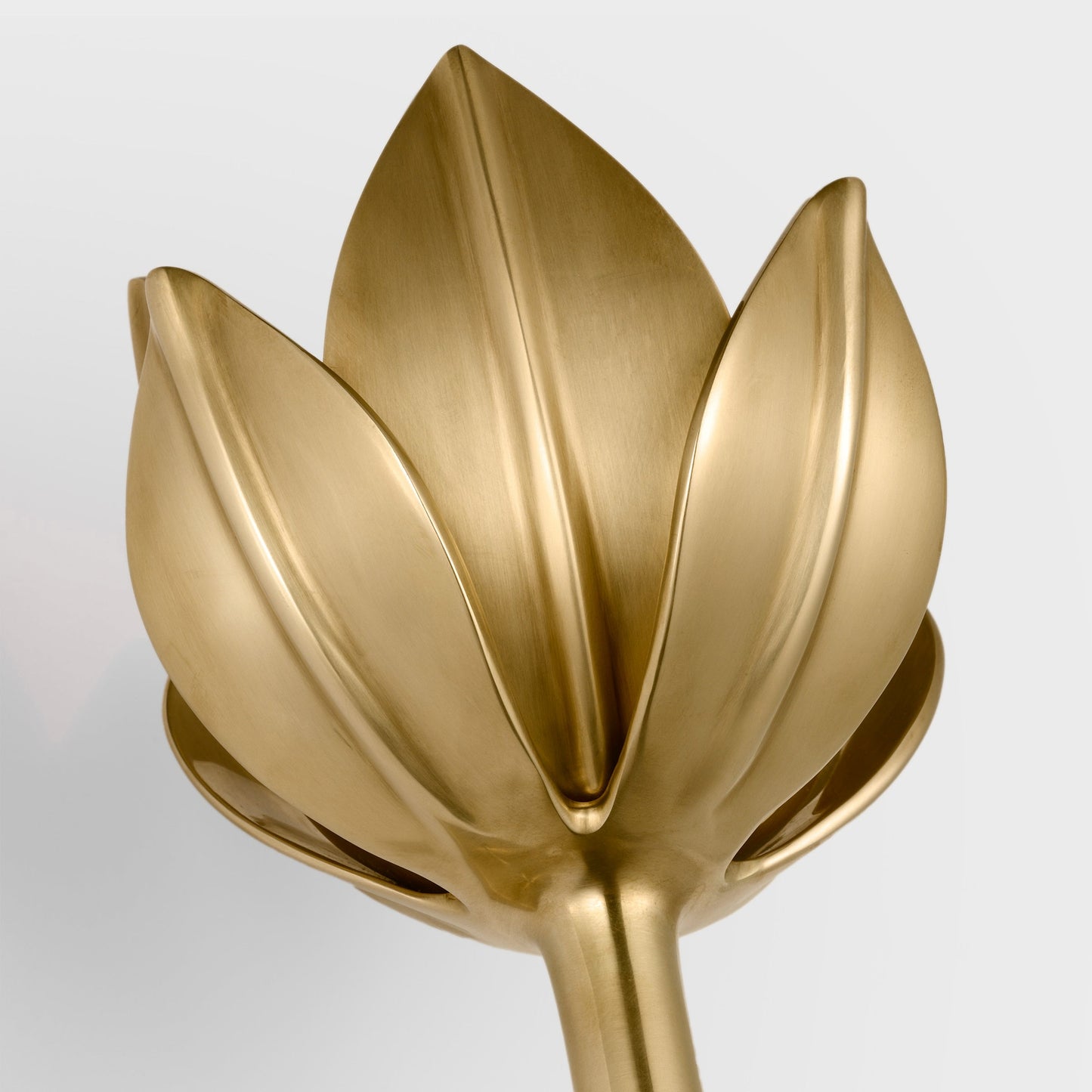Lotus Wall Sconce