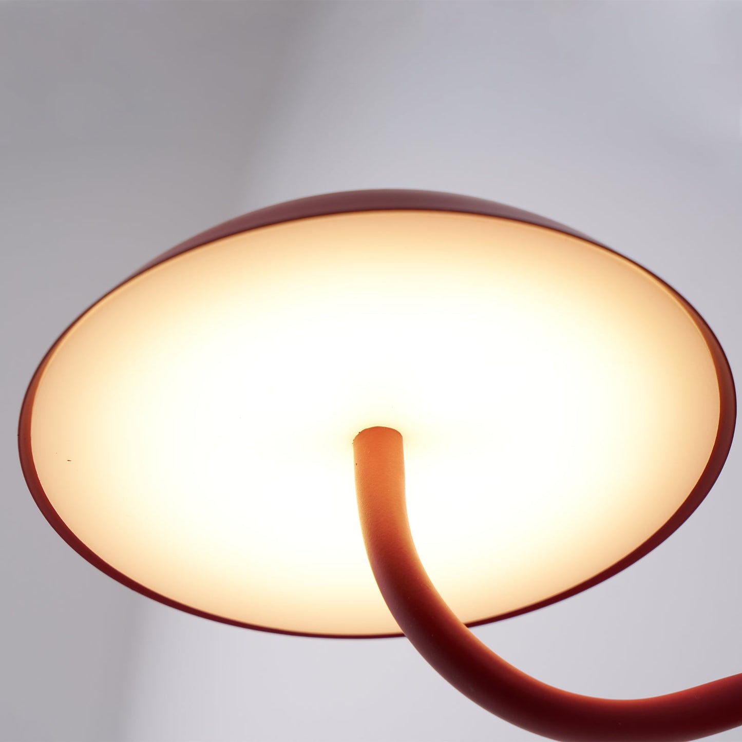 Bonhomie Wall Sconce