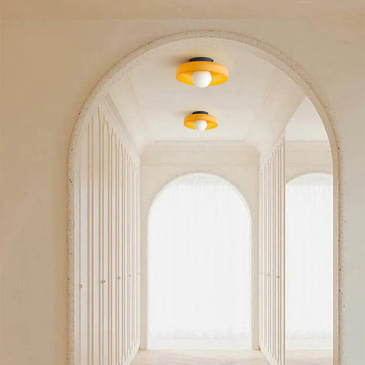 Sonnet Wall & Ceiling Light