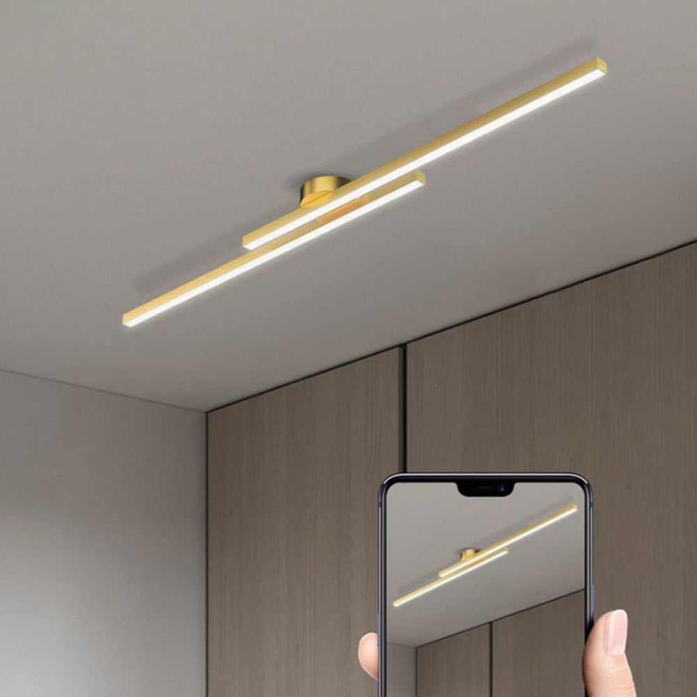 Axis Ceiling Light