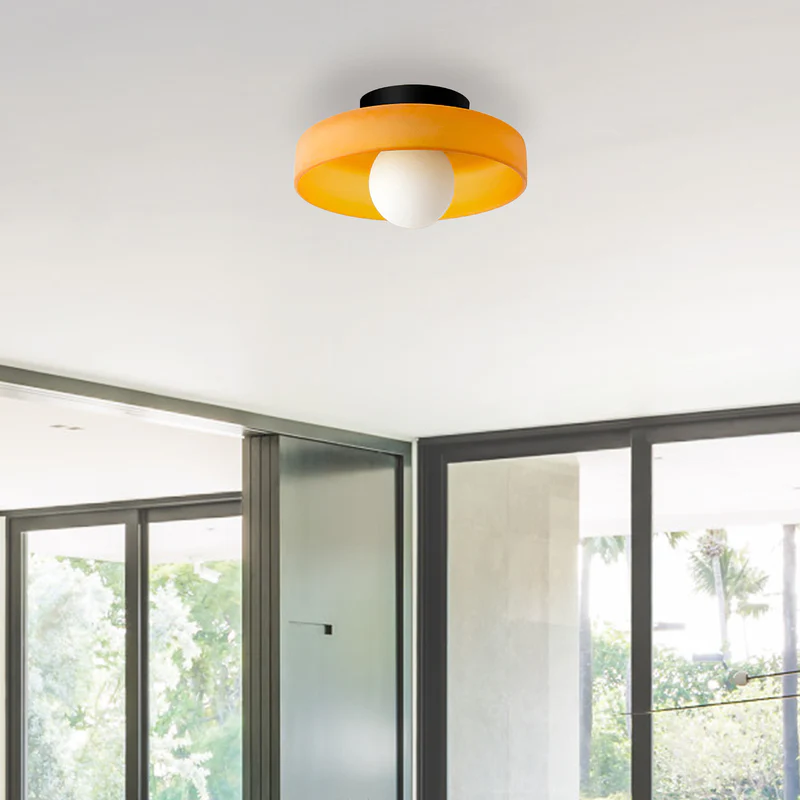 Sonnet Wall & Ceiling Light