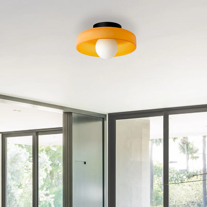 Sonnet Wall & Ceiling Light