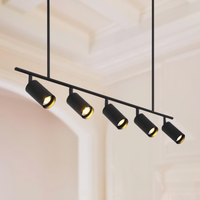 5 Bulbs