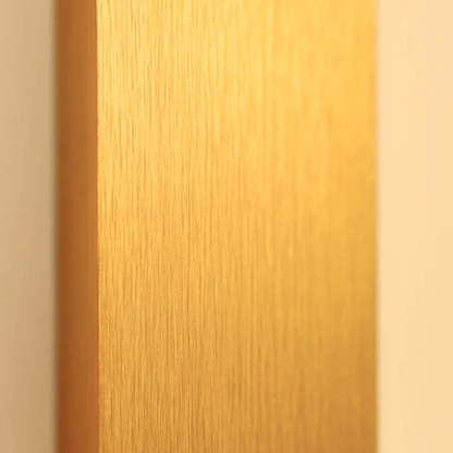 Permanent Outdoor House Lights with Vertical Offset Panel - Modern Minimalist