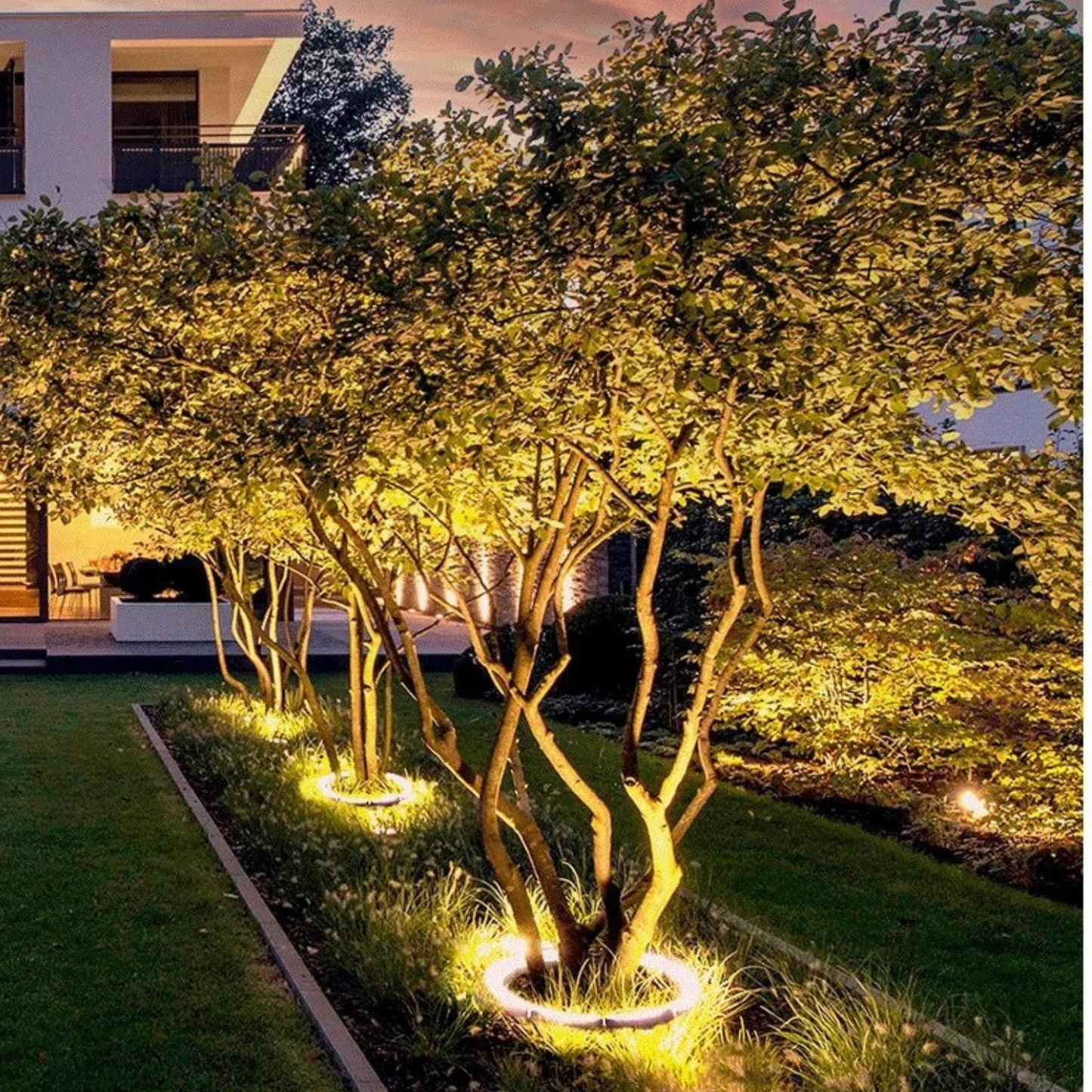 Circular Tree Ring Upwards LED Spotlight