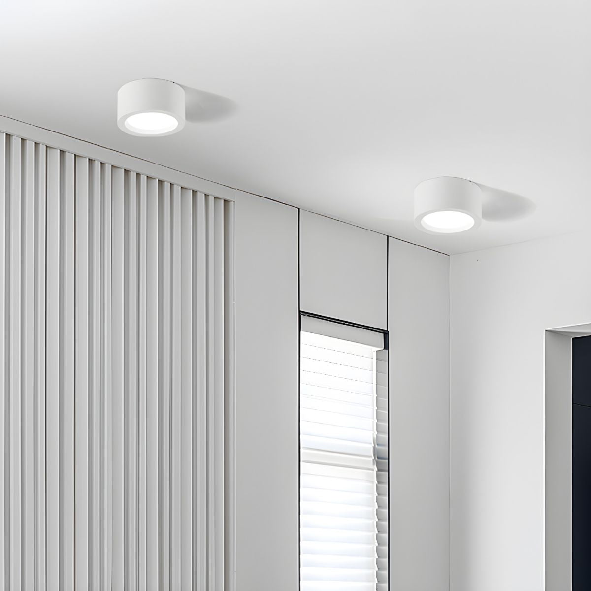 Puncto Ceiling Light