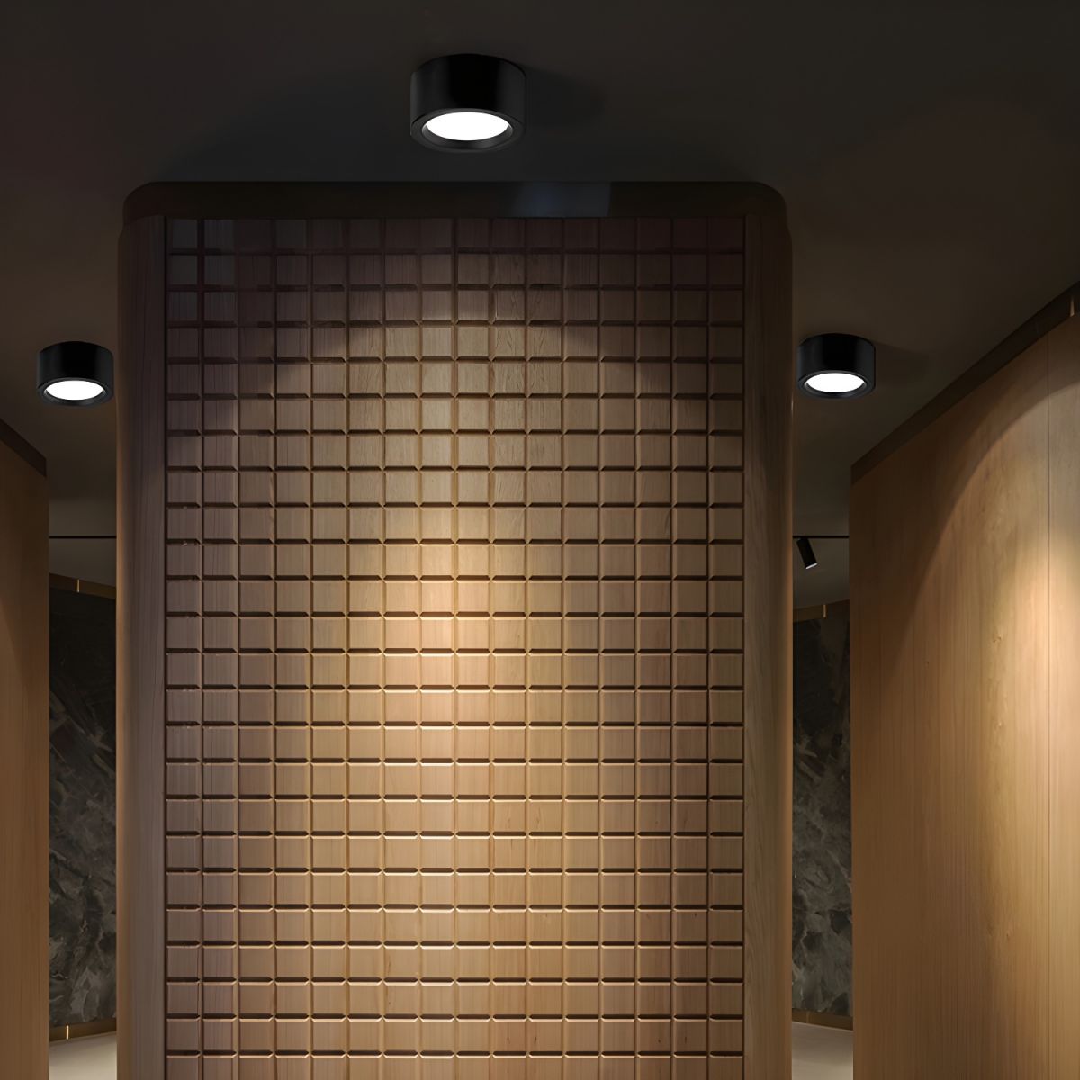 Puncto Ceiling Light