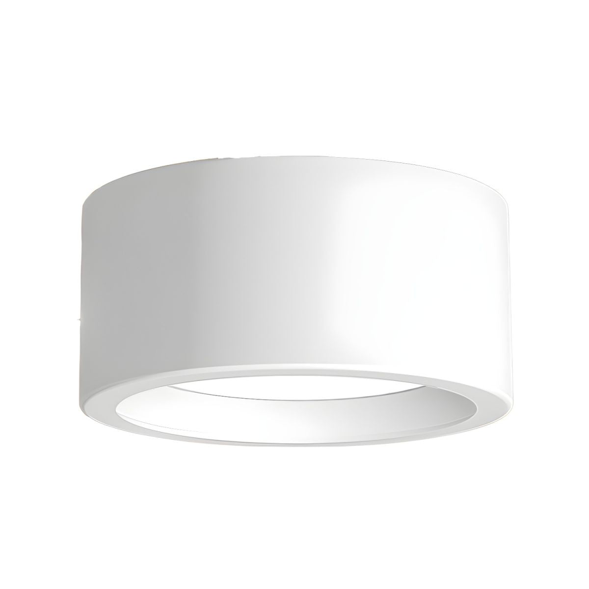 Puncto Ceiling Light