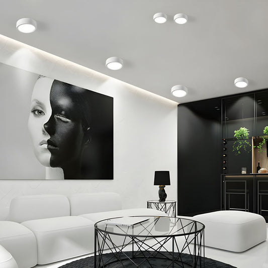 Puncto Ceiling Light