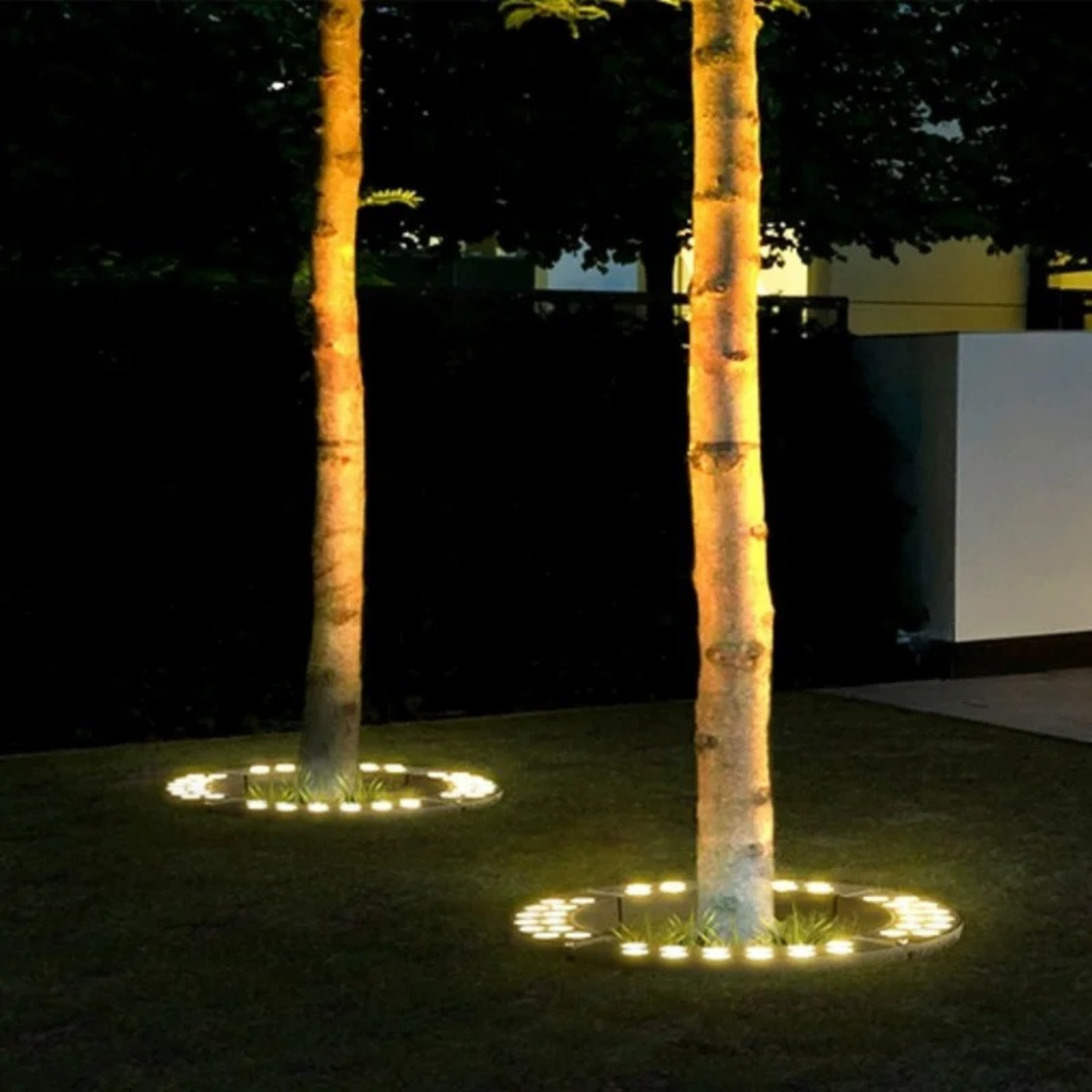 Circular Tree Ring Upwards LED Spotlight