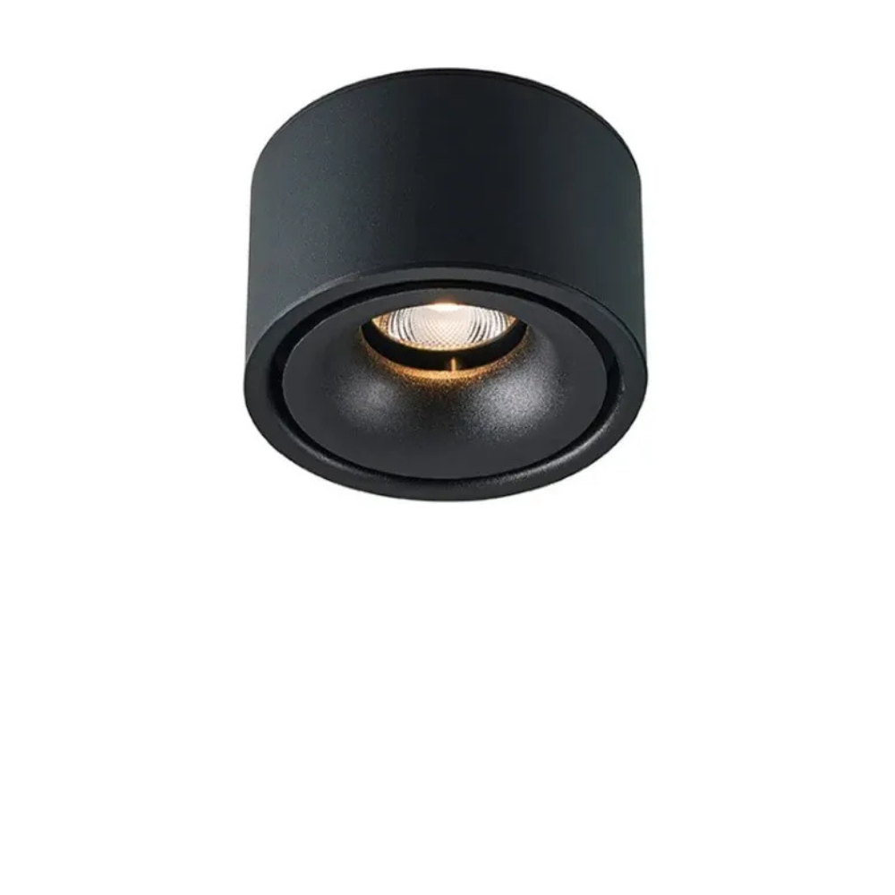 Surface Mount LED Spotlight with Anti-Glare Deep Recess - Industrial Style
