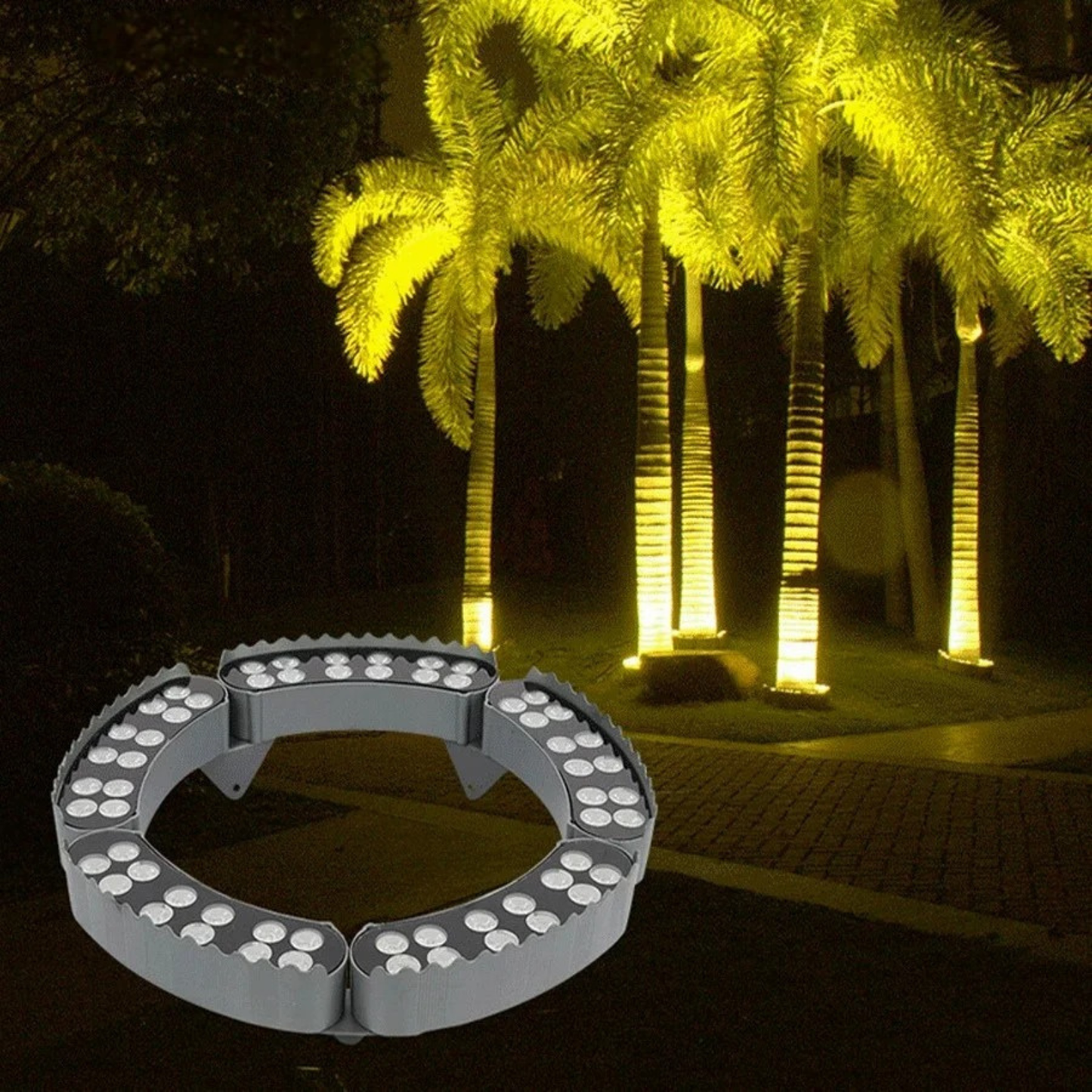 Circular Tree Ring Upwards LED Spotlight