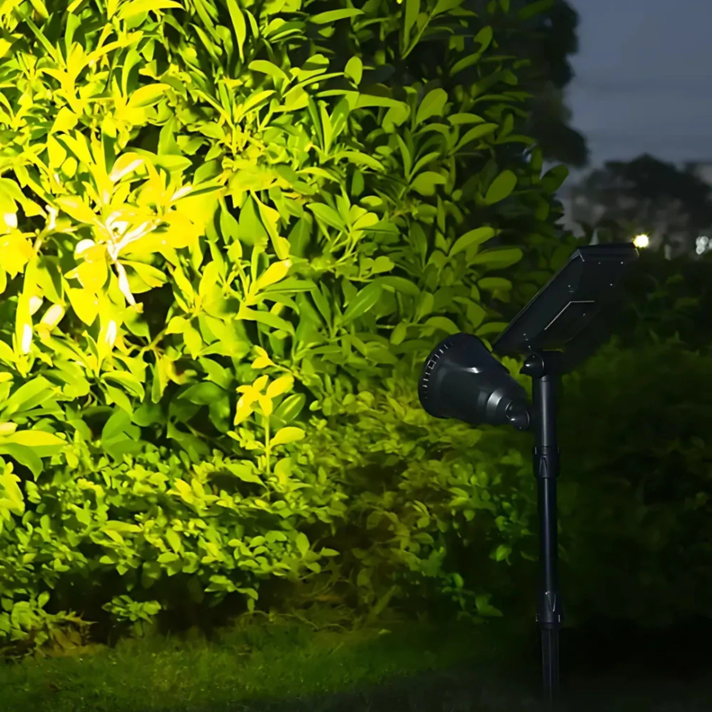 Modern Garden Spotlight - Solar Powered