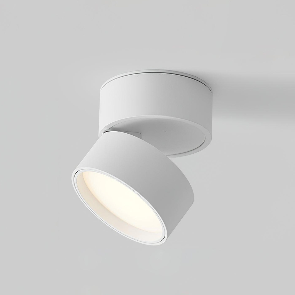 Adjustable Aluminum Ceiling Cylinder Light – Minimalist Architectural Design