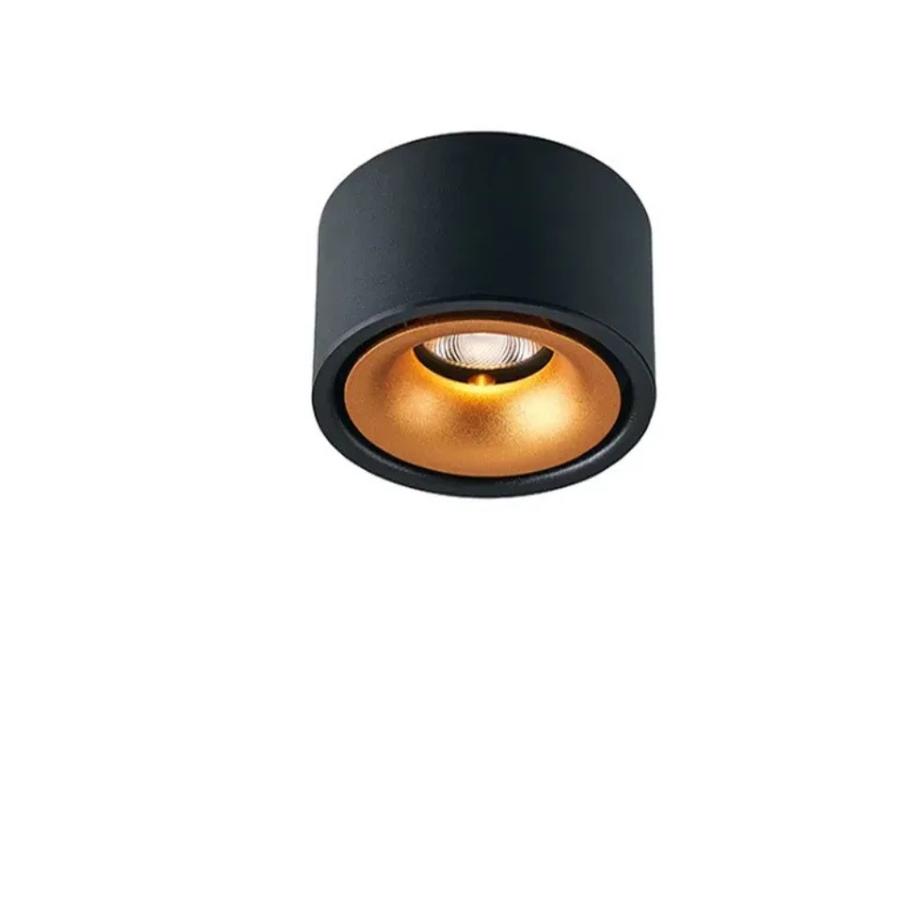Surface Mount LED Spotlight with Anti-Glare Deep Recess - Industrial Style