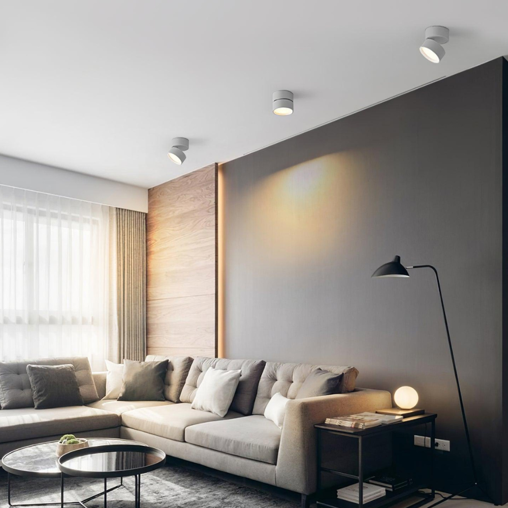 Adjustable Aluminum Ceiling Cylinder Light – Minimalist Architectural Design