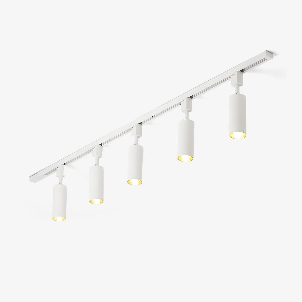LED Track Lighting with Integrated LED and Adjustable Rail - Architectural Style