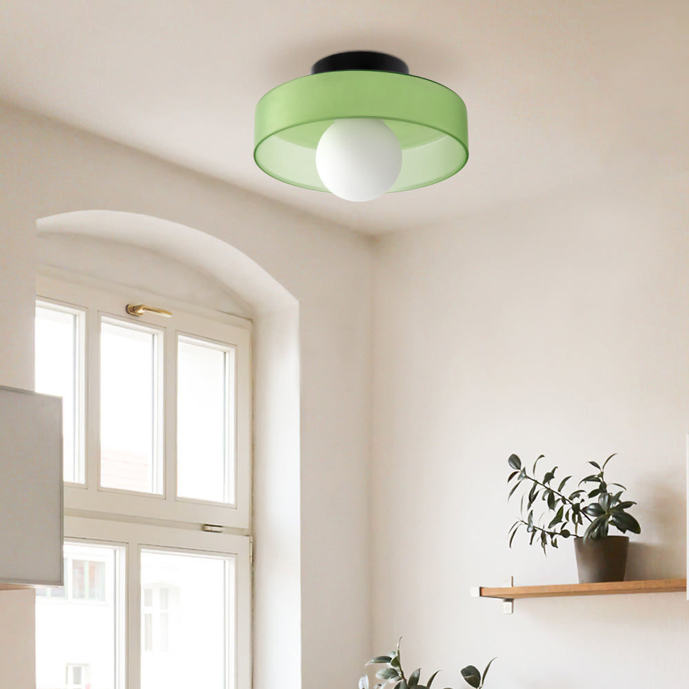 Sonnet Wall & Ceiling Light