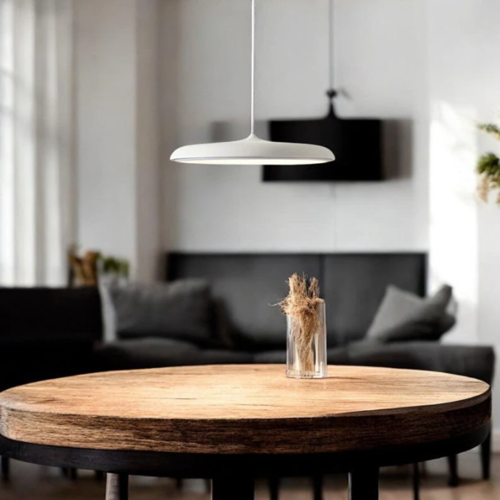 Saucer Ceiling Hanging Lamp with Metal Disc - Minimalist Nordic Decor