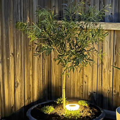 Solar Powered Outdoor Pathway Light with Head and Garden Stake
