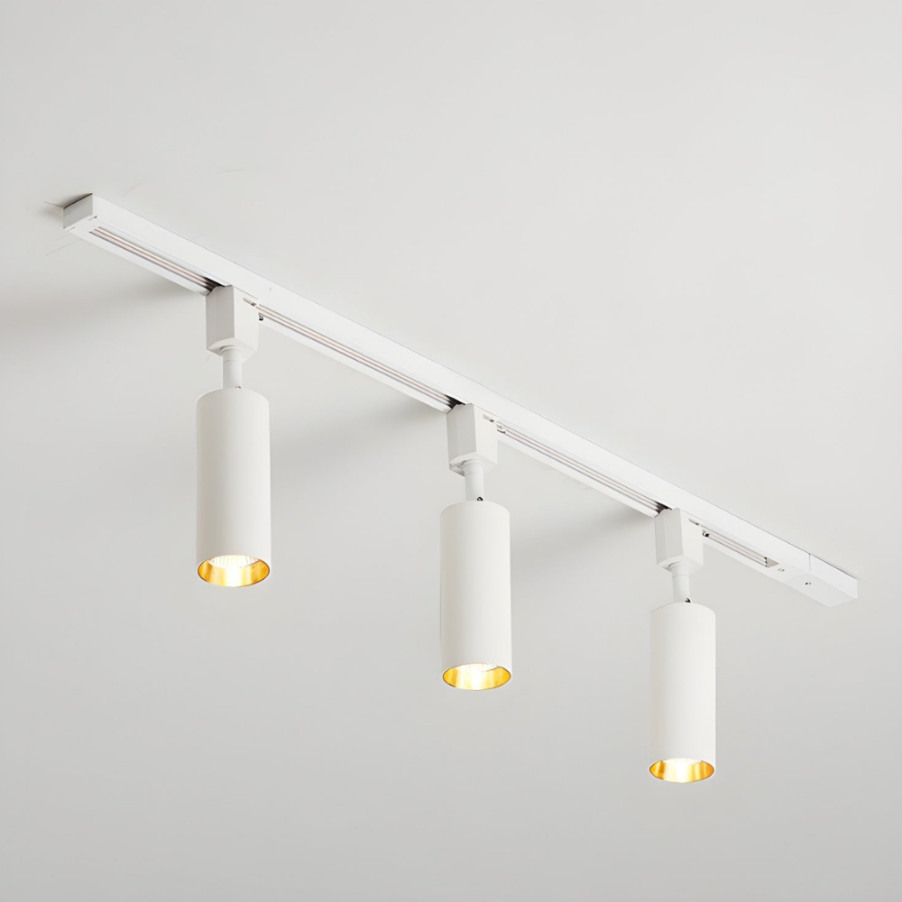 LED Track Lighting with Integrated LED and Adjustable Rail - Architectural Style