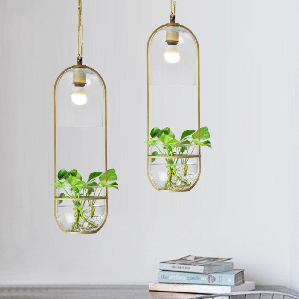 Moderne botanische Hängeleuchte – Goldene Glas-Schalen-Hängeleuchten