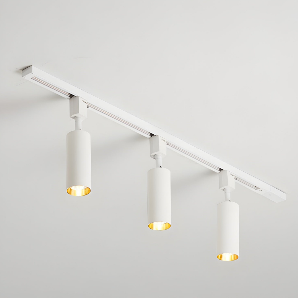 LED Track Lighting with Integrated LED and Adjustable Rail - Architectural Style