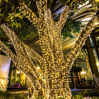 Weather-Ready Solar Outdoor String Lights - Warm White LED Fairy