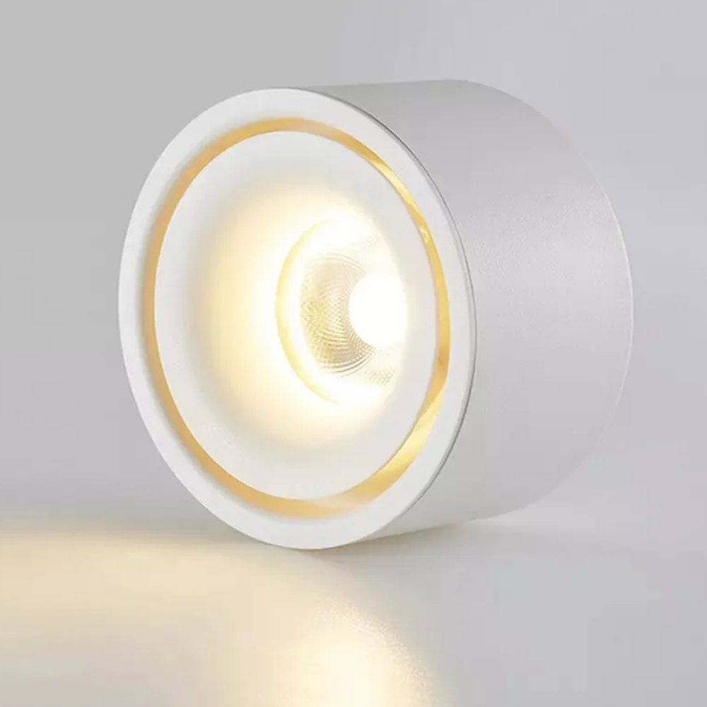 Surface Mount LED Spotlight with Anti-Glare Deep Recess - Industrial Style