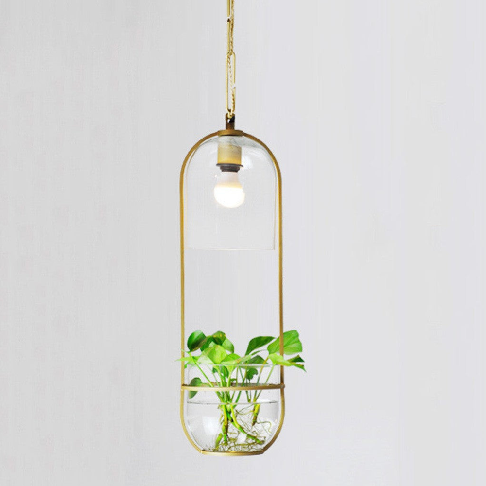 Moderne botanische Hängeleuchte – Goldene Glas-Schalen-Hängeleuchten