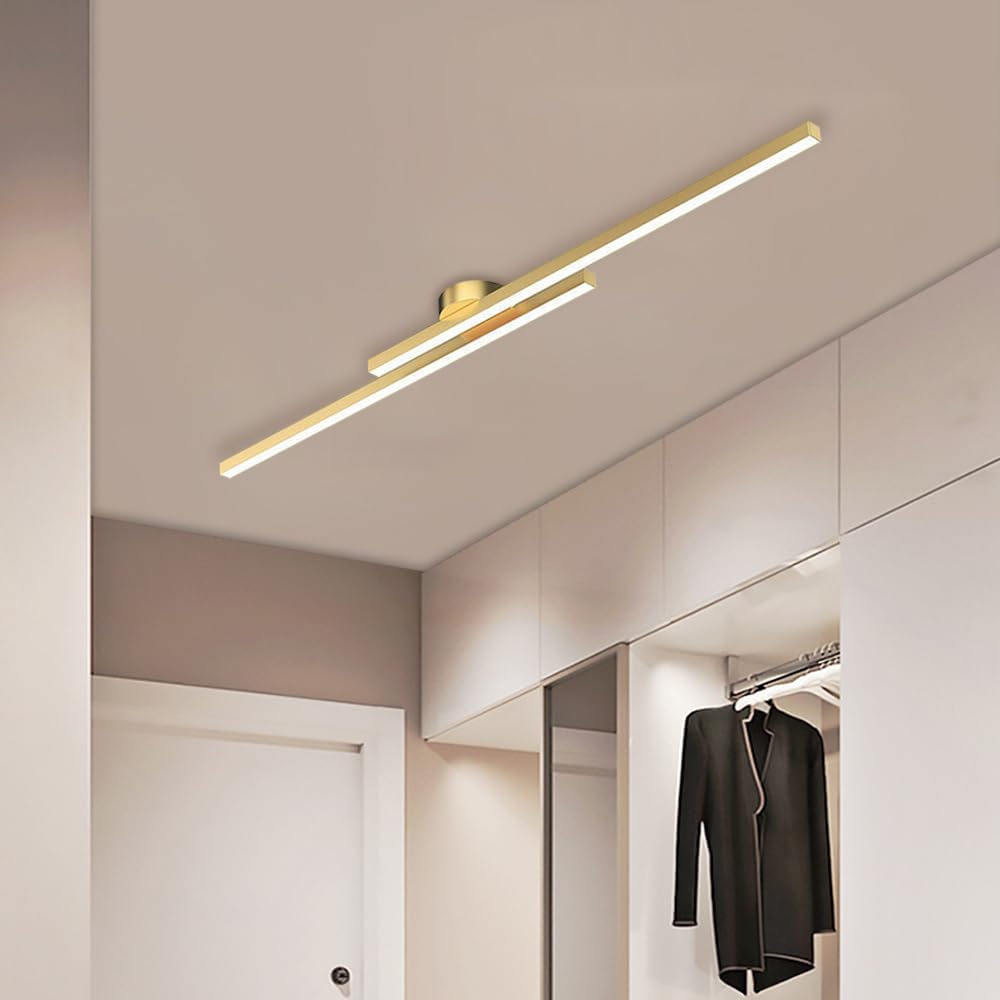 Axis Ceiling Light