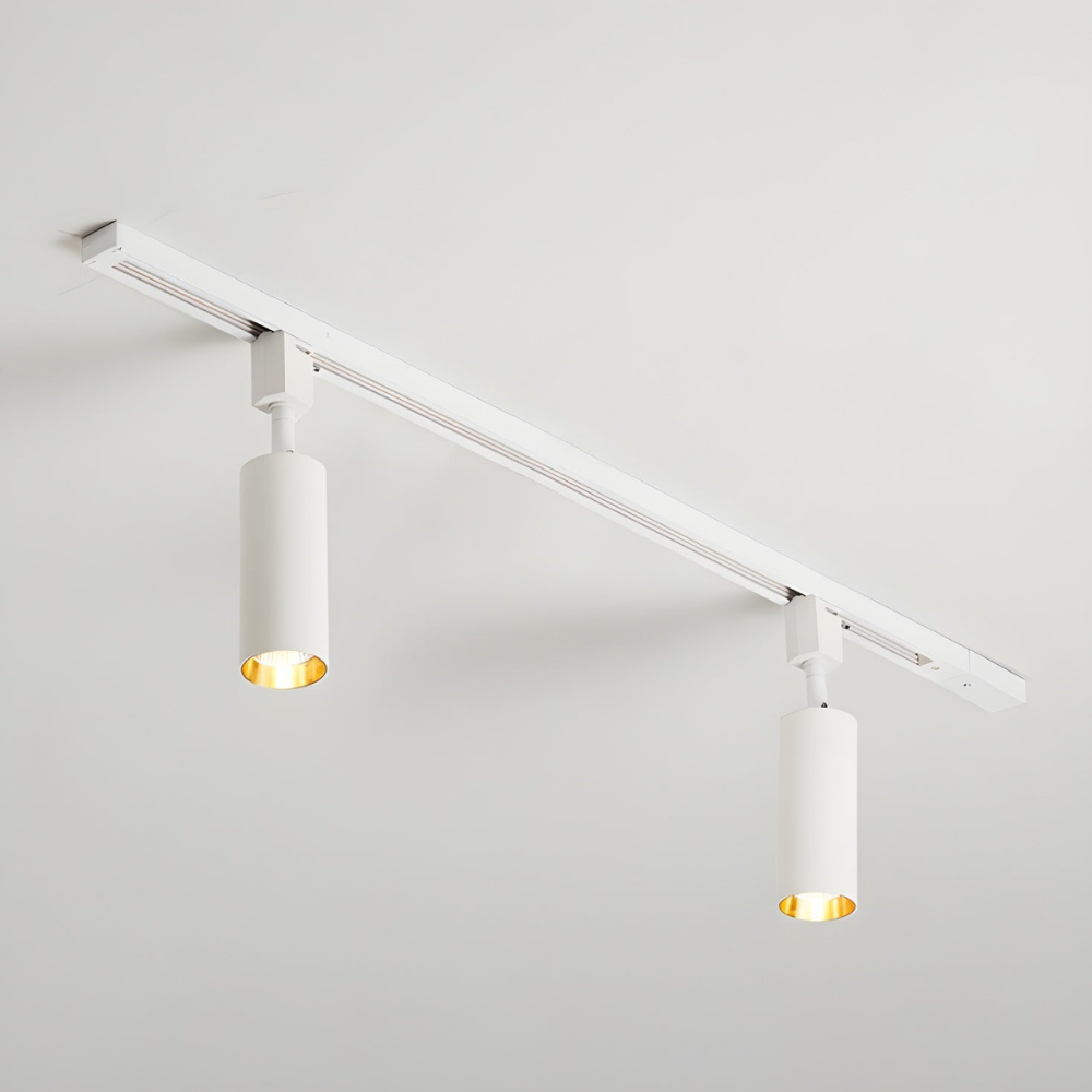 LED Track Lighting with Integrated LED and Adjustable Rail - Architectural Style
