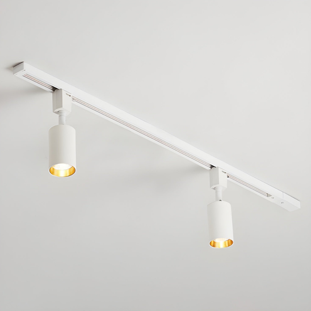 LED Track Lighting with Integrated LED and Adjustable Rail - Architectural Style