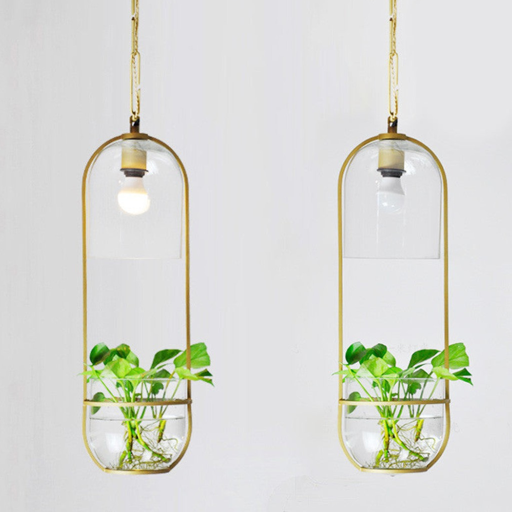 Moderne botanische Hängeleuchte – Goldene Glas-Schalen-Hängeleuchten