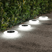 Cool Light