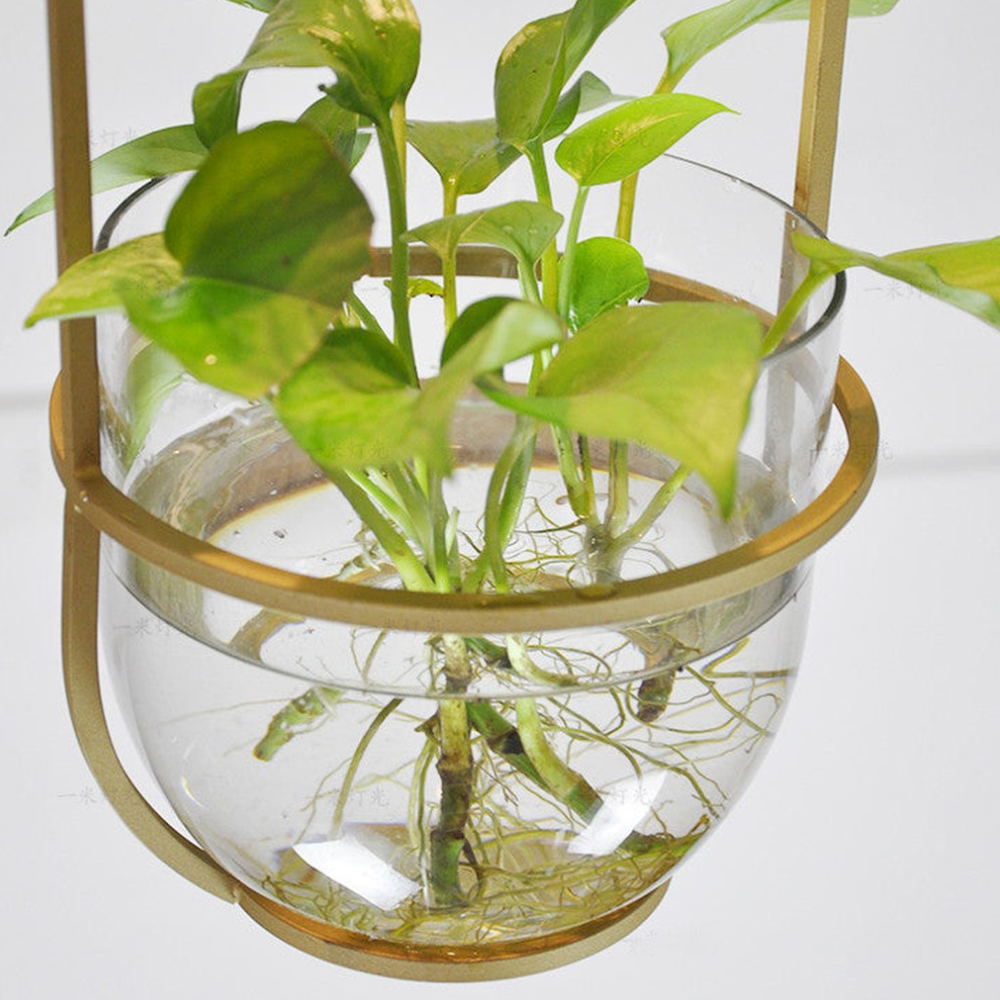 Moderne botanische Hängeleuchte – Goldene Glas-Schalen-Hängeleuchten