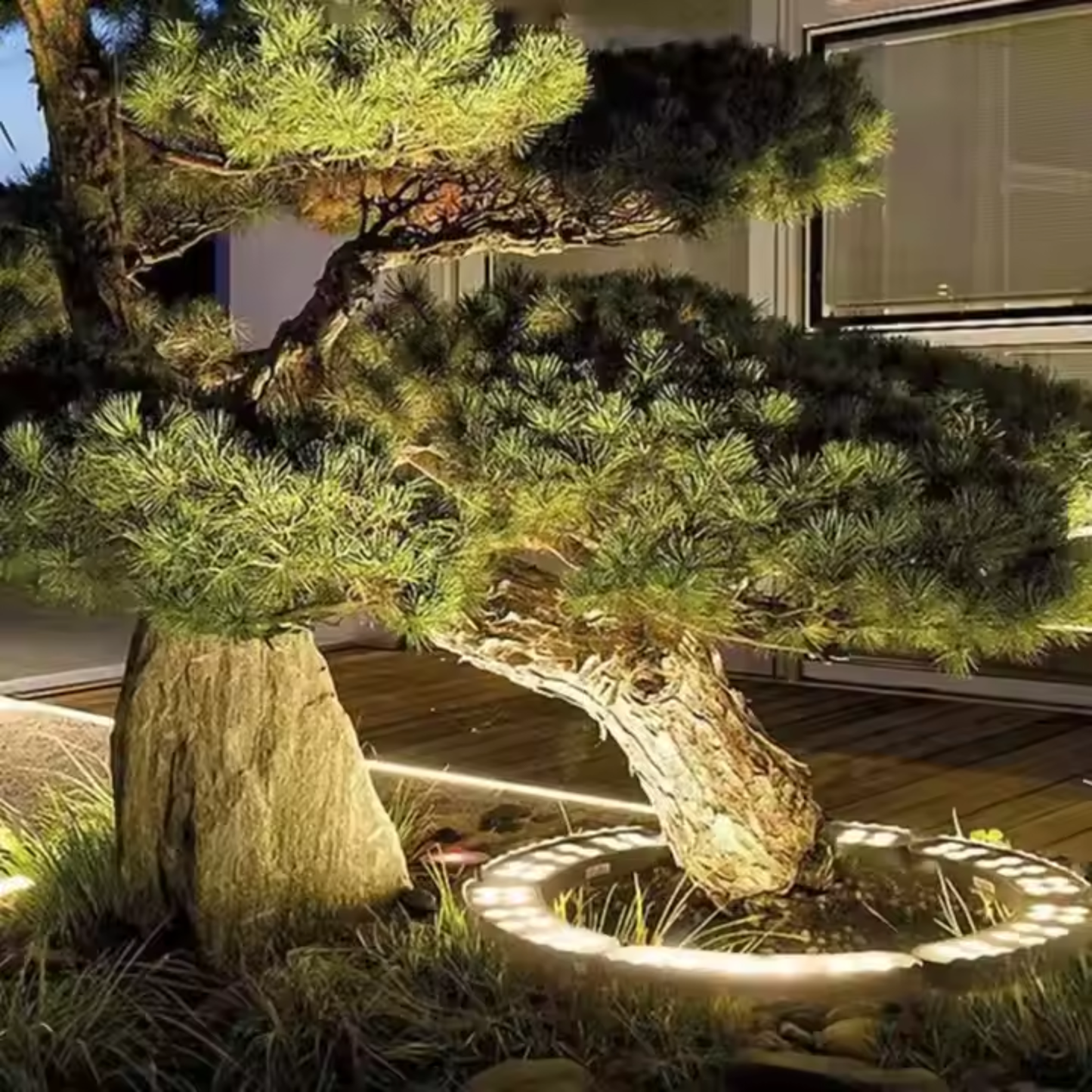 Circular Tree Ring Upwards LED Spotlight