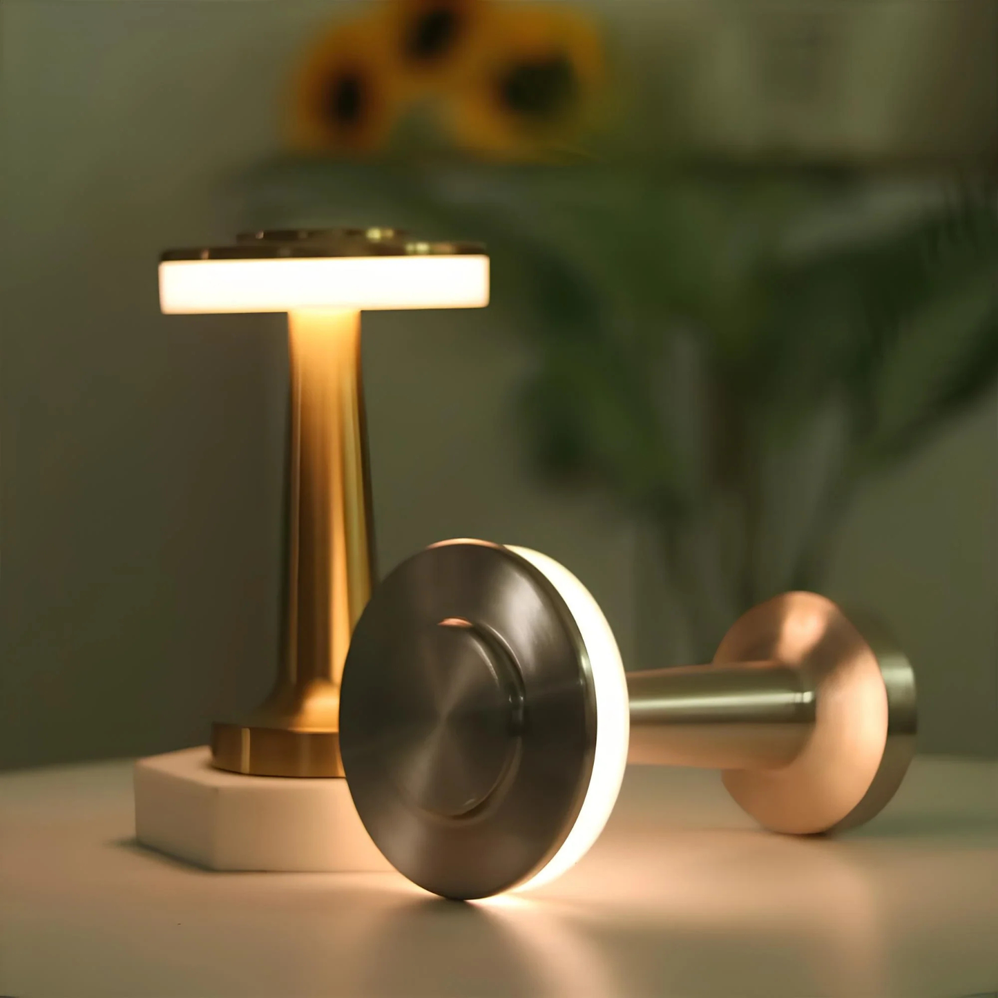 Cordless LED Disc Touch Lamp