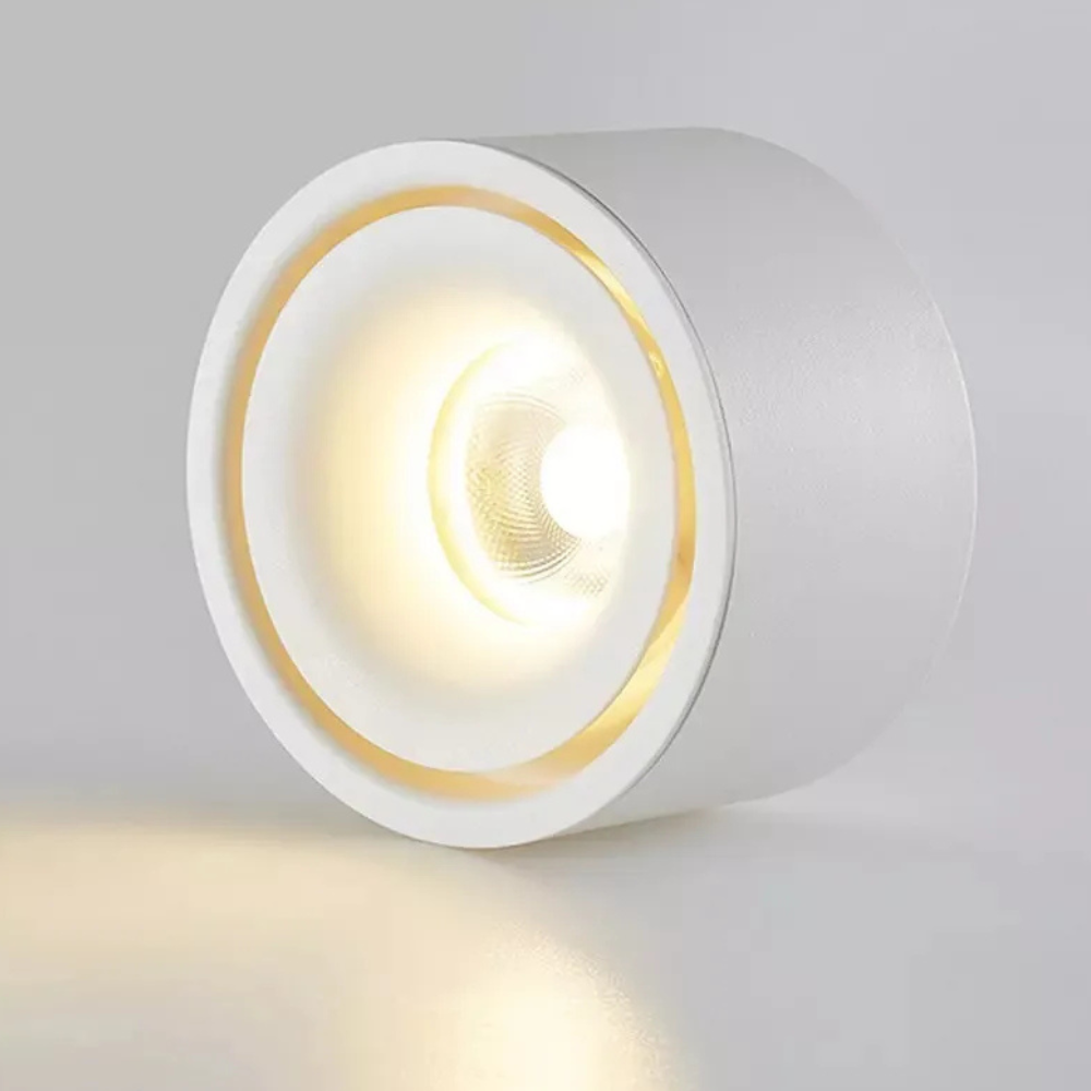 Surface Mount LED Spotlight with Anti-Glare Deep Recess - Industrial Style