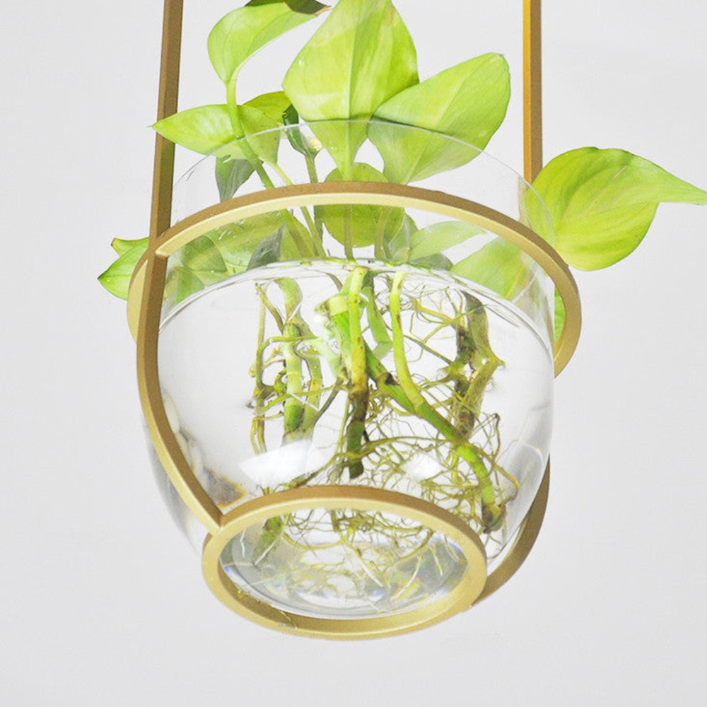 Moderne botanische Hängeleuchte – Goldene Glas-Schalen-Hängeleuchten