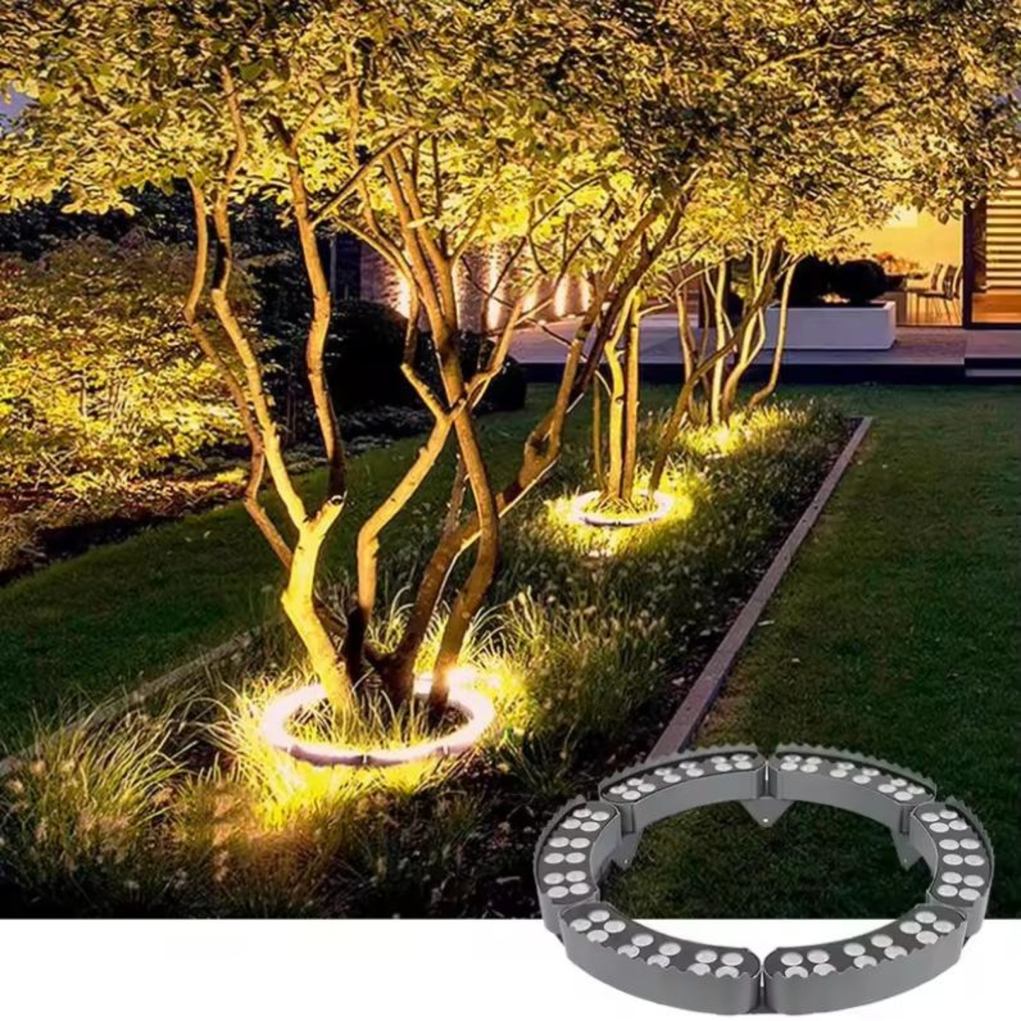 Circular Tree Ring Upwards LED Spotlight