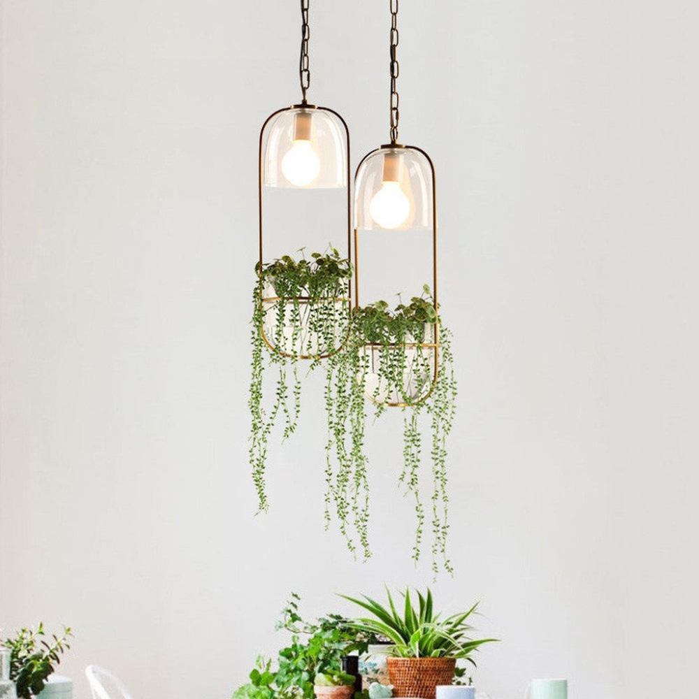 Moderne botanische Hängeleuchte – Goldene Glas-Schalen-Hängeleuchten