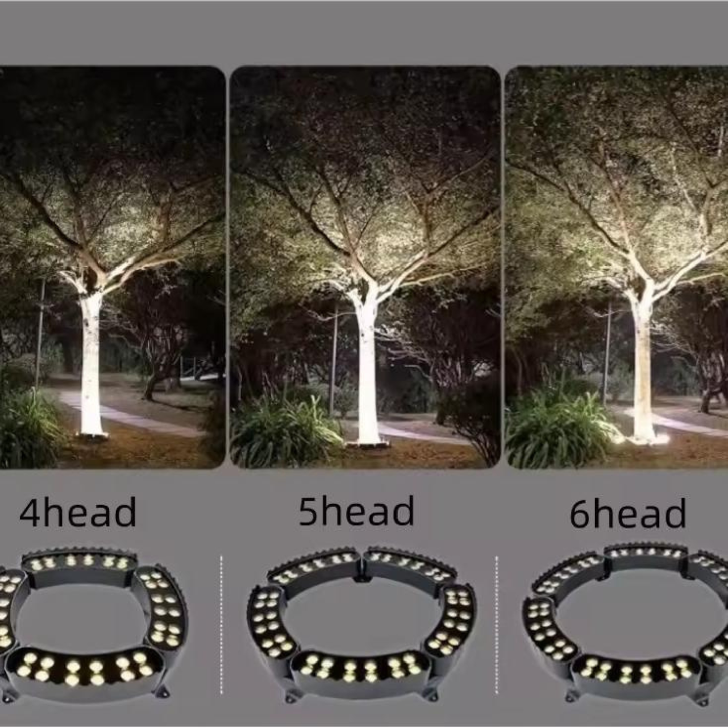Circular Tree Ring Upwards LED Spotlight