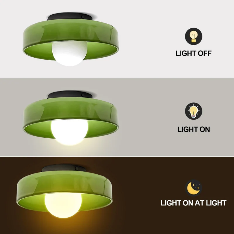 Sonnet Wall & Ceiling Light