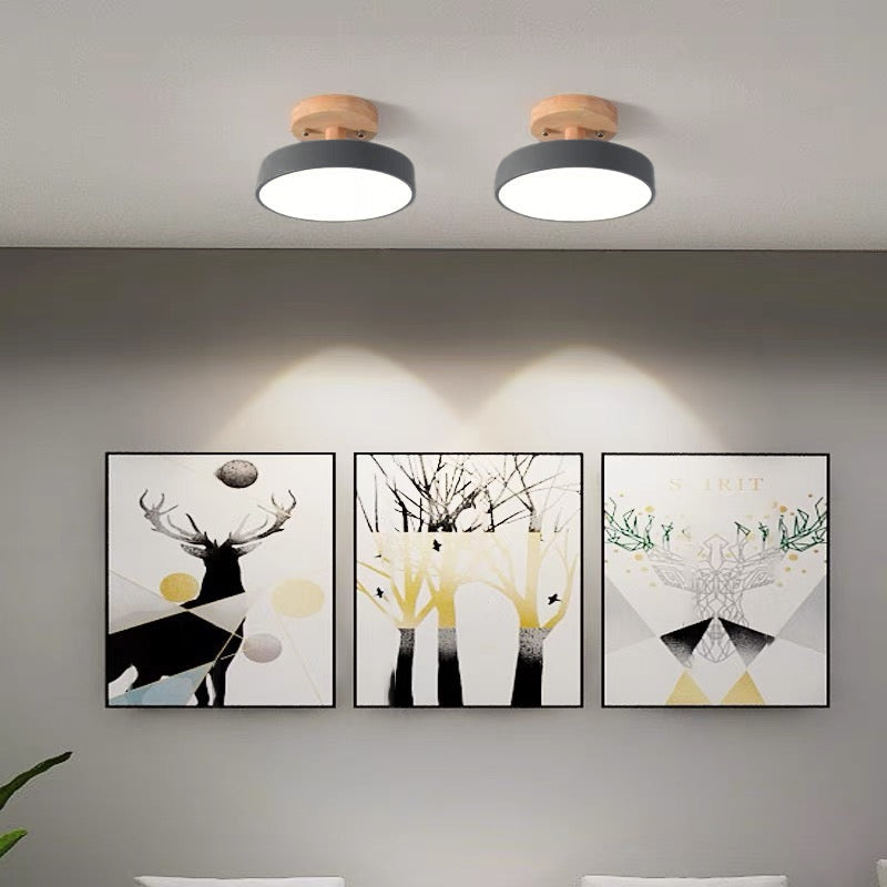 Acorn Flush Mount